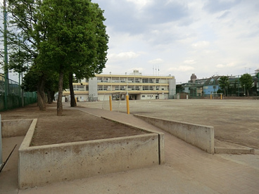 新座市立 東野小学校の画像3