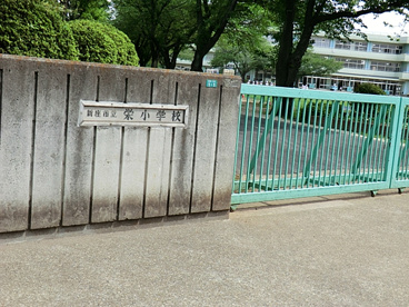 新座市立 栄小学校の画像1