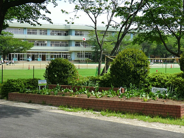 新座市立 栄小学校の画像2