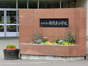 札幌市立 新陵東小学校の画像1
