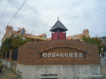 わかばの森保育園