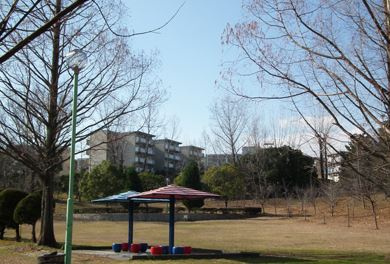 高野公園の画像1