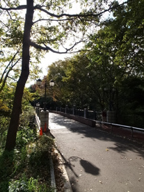 千葉中央博物館の画像3