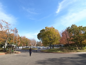 青葉の森公園の画像2
