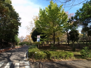 青葉の森公園の画像3
