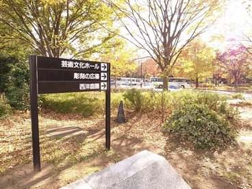 青葉の森公園の画像5