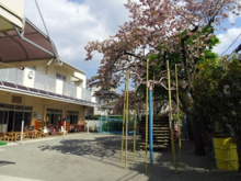       青い空保育園
