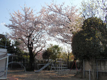 伊東学園上野毛幼稚園