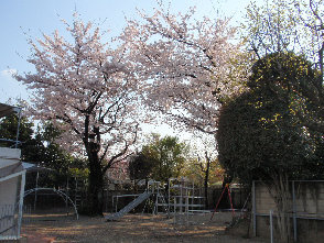 伊東学園上野毛幼稚園の画像1