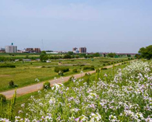 公園 多摩川遊園