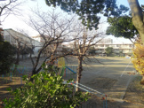千葉市立 本町小学校