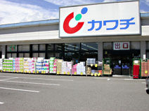 （株）カワチ薬品 大田原南店