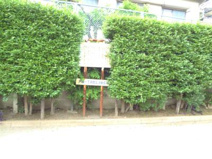 品川区立戸越一丁目防災活動広場