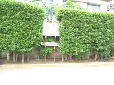 品川区立戸越一丁目防災活動広場の画像1