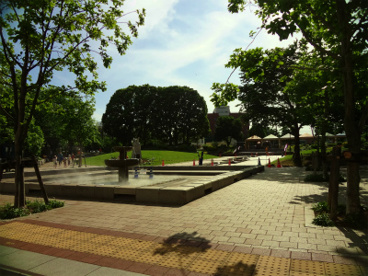 品川区立品川中央公園の画像3