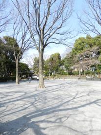 戸越公園の画像4