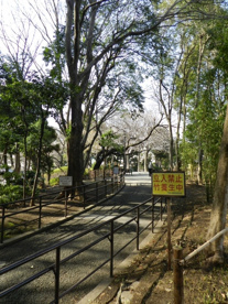 戸越公園の画像5