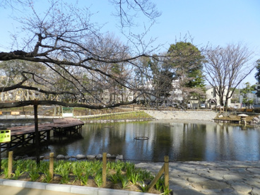 文庫の森の画像1