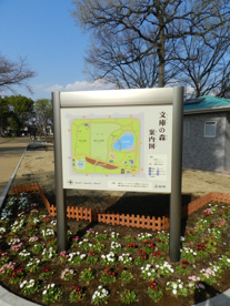 文庫の森の画像2