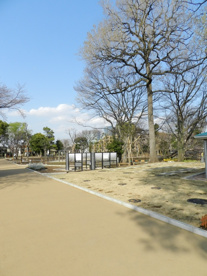文庫の森の画像3