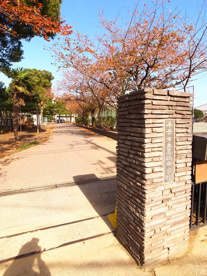 葛城中学校の画像1