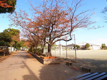 葛城中学校の画像3