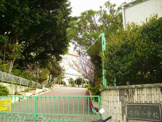 那覇市立 安謝小学校