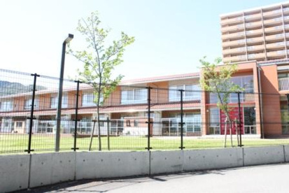ほうりんこころ幼稚園の画像3