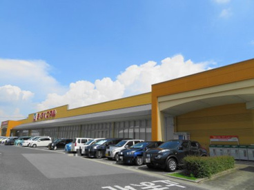 ヨークベニマルの画像2