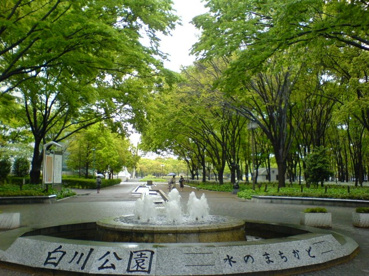 白川公園の画像1