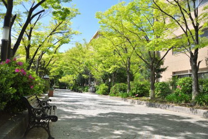 園田学園女子大学の画像2
