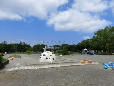 稲積公園の画像3