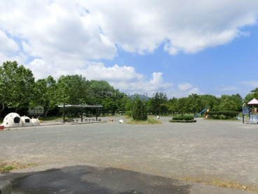 稲積公園の画像5