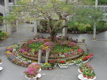 南風原町立 翔南小学校の画像1