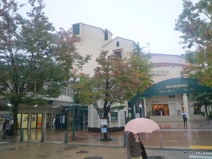 バウホール