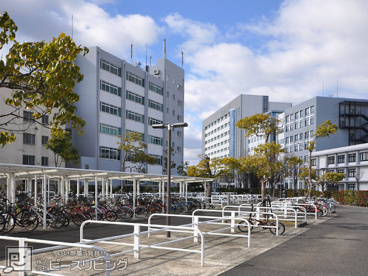 四国大学の画像1