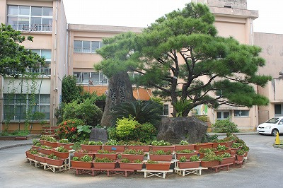 宜野湾市立 普天間小学校の画像3