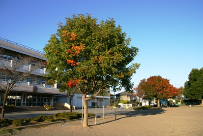 太田市立 駒形小学校の画像1