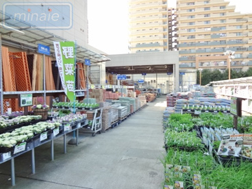 DCM 新船橋店の画像2