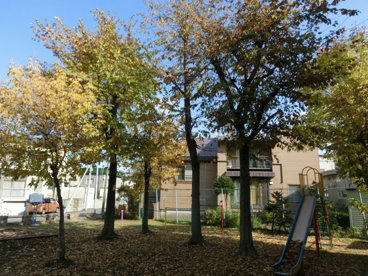 前田ほたる公園 の画像4