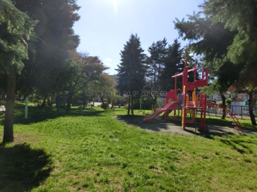 曙ナナカマド公園の画像2