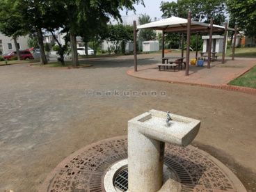 前田すみれ公園の画像2