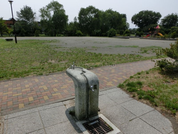 三晃ぼうけん公園の画像4