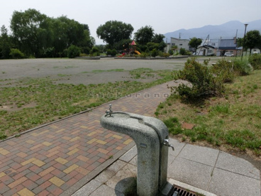 三晃ぼうけん公園の画像5