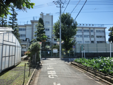 練馬区立 高松小学校の画像2