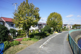 箕輪2丁目の千里川西側の遊歩道