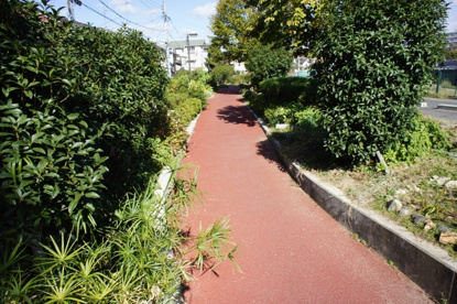 箕輪2丁目の千里川西側の遊歩道の画像2