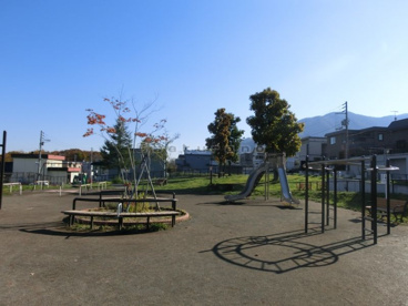 富丘丸山どんぐり公園はとても大きな公園です!! 富丘丸山どんぐり公園 の画像2