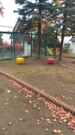 富丘やまがら公園 の画像2