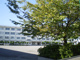 小岩第四中学校の画像